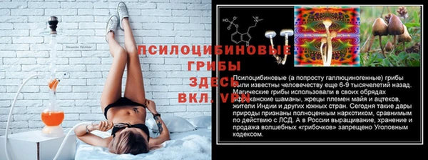 Альфа ПВП Алзамай