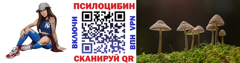 Псилоцибиновые грибы GOLDEN TEACHER  цены наркотик  mega как войти  Сызрань 